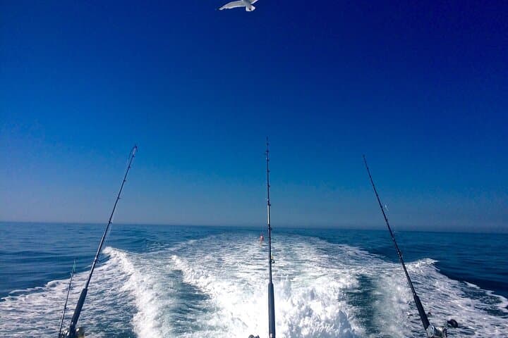 Private Fishing Tour in Kuwait City — Arabian Gulf Boat Charter photo 5