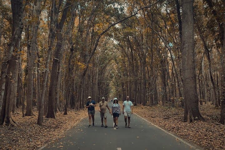 Banyuwangi Full-Day: Djawatan Forest, Alas Purwo & Red Island Sunset photo 4