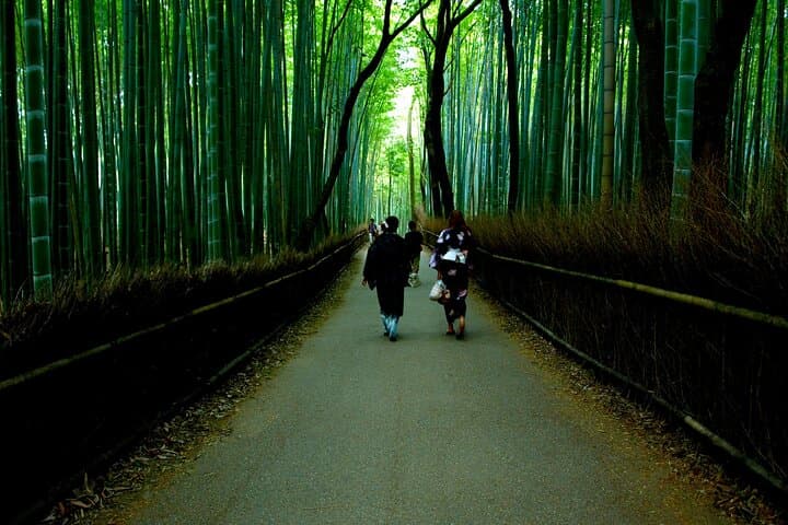 Private Northern Cebu Adventure: Full-Day Tour to Aisle of Medellin, Bamboo Forest & Dragon Peak photo 6