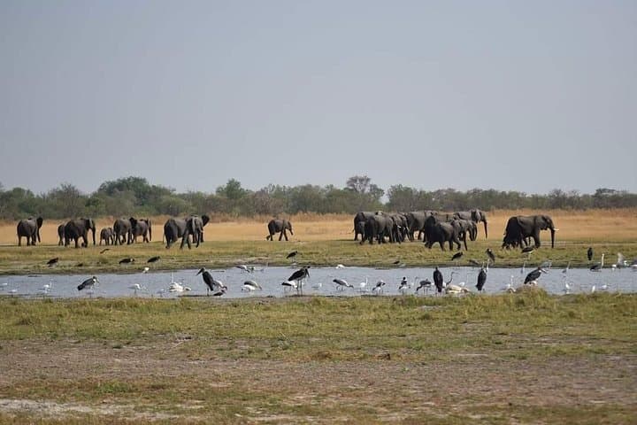 10-Day Southern Circuit Safari: Dar es Salaam to Mikumi, Ruaha, and Selous (Nyerere) photo 3