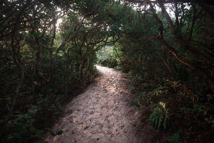 Lagoinha do Leste Hiking & Photography: Day Hike to Florianópolis’ Remote Beach photo 6