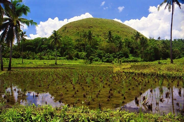 Bohol Chocolate Hills & Loboc River Private Day Tour — Tarsiers, Rivers & History photo 1