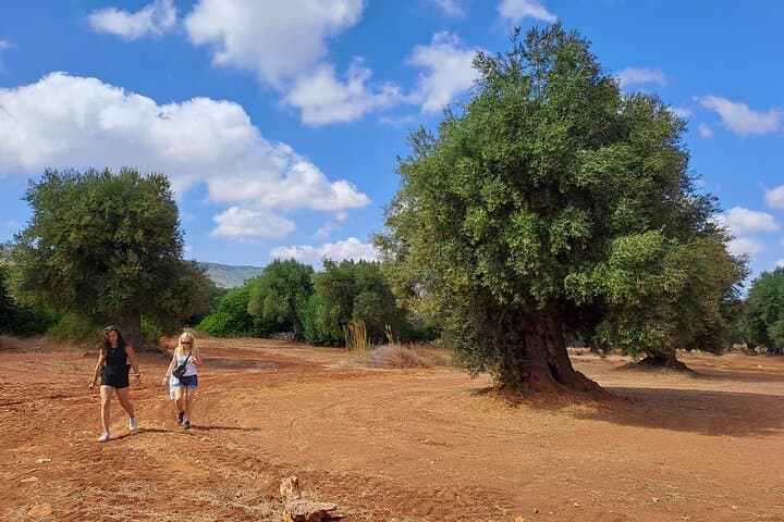 E‑Bike Ostuni: Ride Ancient Olive Groves & the White City photo 2