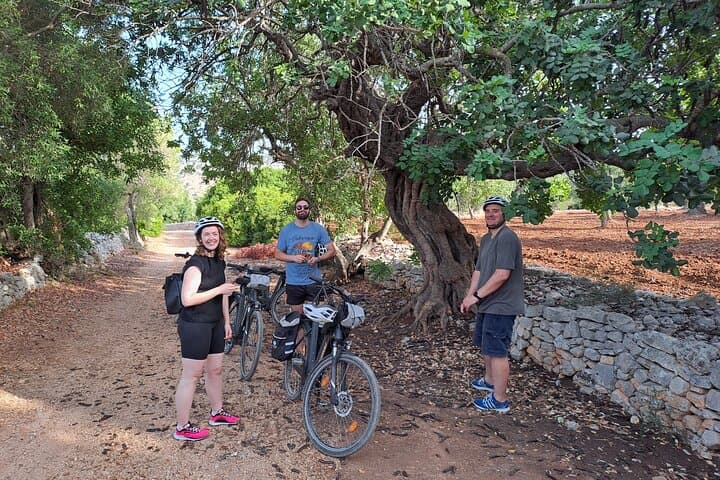 E‑Bike Ostuni: Ride Ancient Olive Groves & the White City photo 3