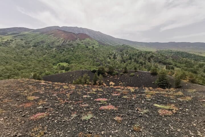 Etna 4WD Off‑Road Adventure to Pizzi Deneri & Central Craters photo 3