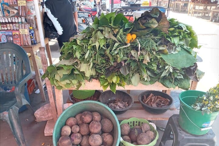Belen Market & Floating City Private Tour — Iquitos Amazon Morning Experience photo 6