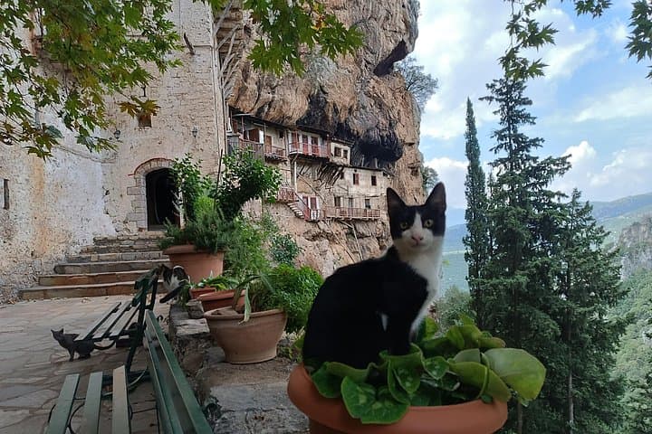 Mountain Villages of the Peloponnese: Dimitsana, Stemnitsa & Lousios River Day Trip