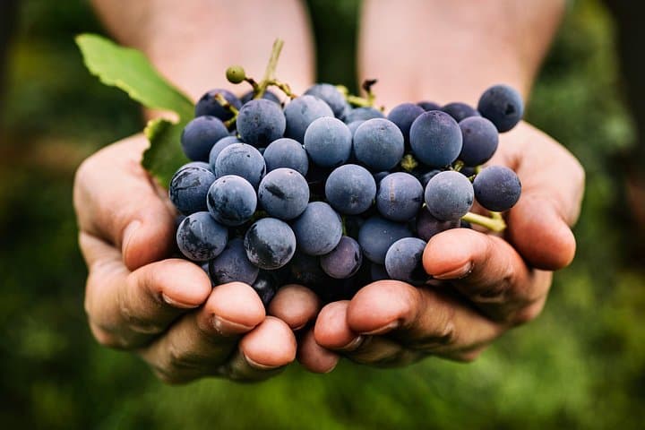 Etna Adventure and Wine Experience from Taormina: Trek, Lava, and DOC Tastings photo 2
