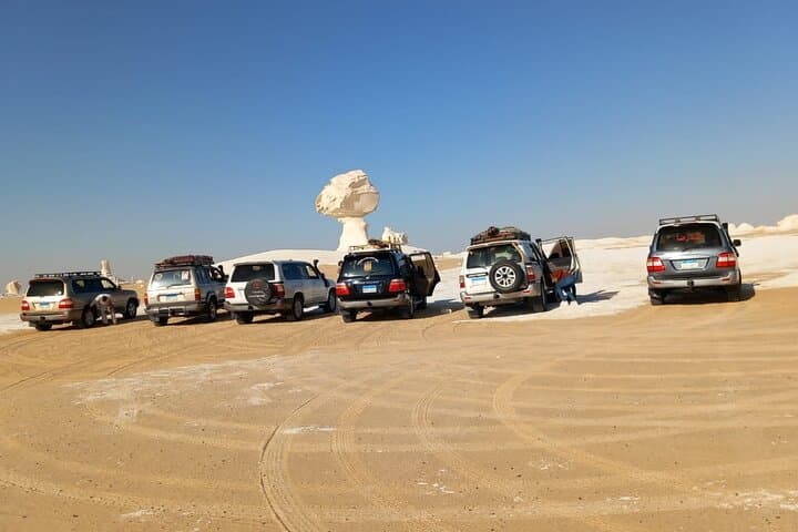 4-Day Siwa, Bahariya & White Desert Safari — White Chalk Formations, Salt Lakes & Oasis Culture photo 5
