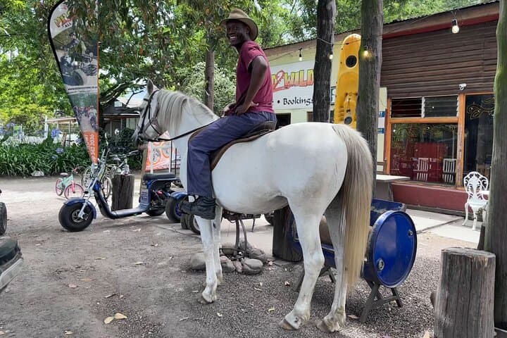 Storms River Horse Trails: 2-Hour Guided Ride in Tsitsikamma National Park photo 2