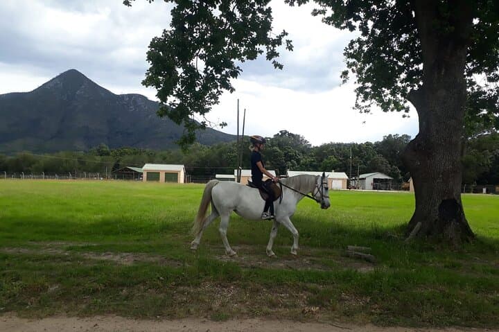 Storms River Horse Trails: 2-Hour Guided Ride in Tsitsikamma National Park photo 3