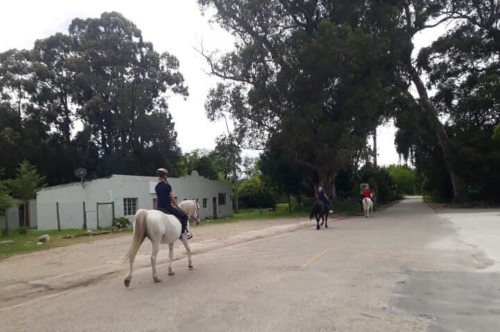 Storms River Horse Trails: 2-Hour Guided Ride in Tsitsikamma National Park photo 4