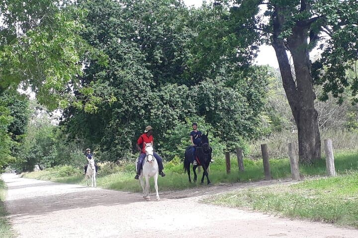 Storms River Horse Trails: 2-Hour Guided Ride in Tsitsikamma National Park photo 5