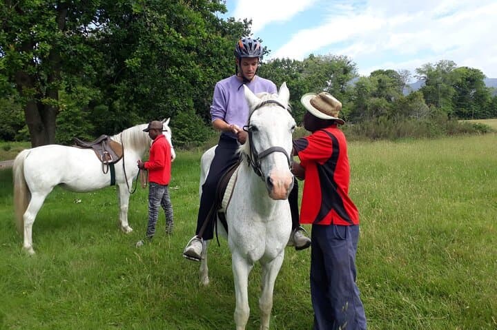 Storms River Horse Trails: 2-Hour Guided Ride in Tsitsikamma National Park photo 6