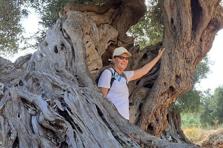 E‑Bike Through Ostuni’s Millenary Olive Plain: Farm Tasting & White City Sights photo 2