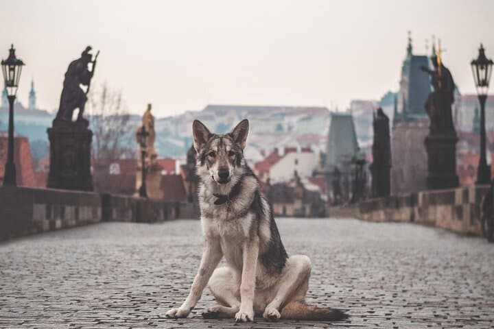 Prague in Two Days: Walking the Left and Right Banks of the Vltava photo 4