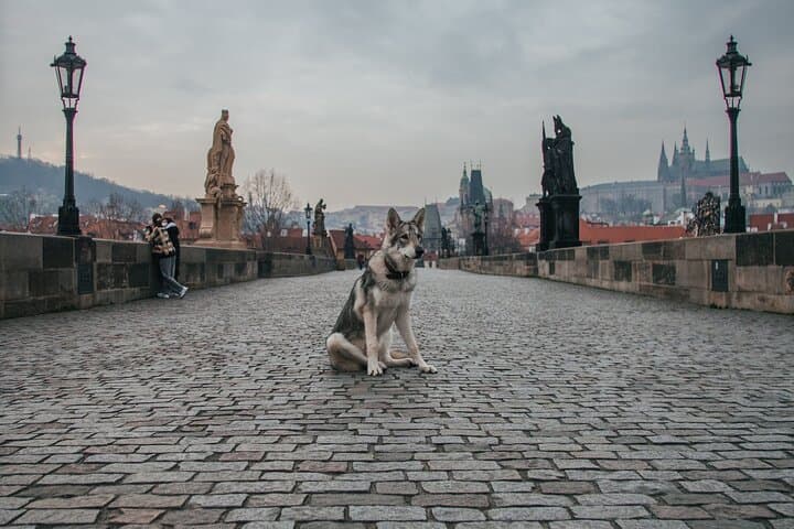 Prague in Two Days: Walking the Left and Right Banks of the Vltava photo 5