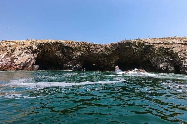 Ballestas Islands & Paracas Mini-Buggy Adventure from Pisco (Cruise-Friendly) photo 3