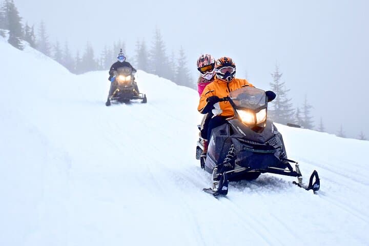 Whistler Backcountry Snowmobile Tour — 2-Hour Callaghan Valley Adventure photo 5