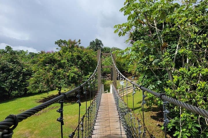 Campo Rico Zipline Private Tour from San Juan — 5 Ziplines & Canopy Bridges photo 2