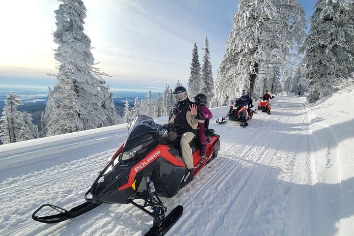 4-Hour Snowmobile Rental at Priest Lake — Ride the Selkirk Range Trails photo 5