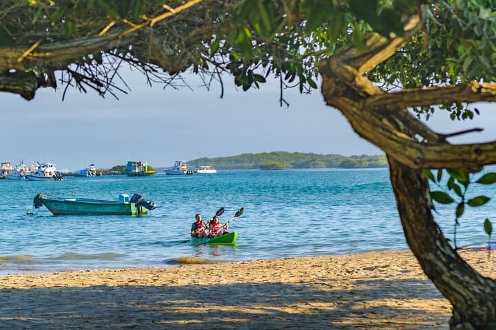 Night Kayak to Laguna Grande — Private Bioluminescent Bay Tour from San Juan photo 6