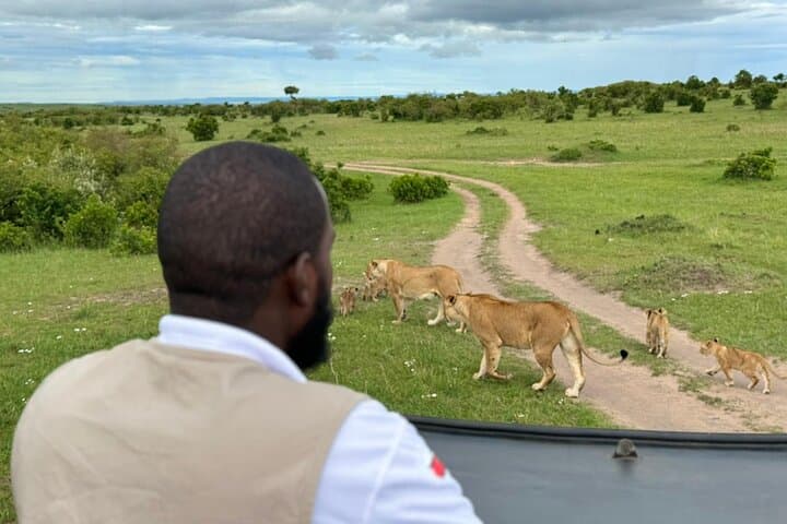 3-Day Maasai Mara Safari — Great Migration, Big Five & Black Rhino photo 5