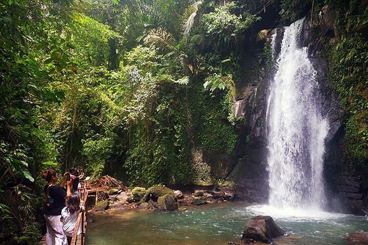 Ubud Spring Temple, Waterfall & Rice Terraces Private Day Tour photo 4