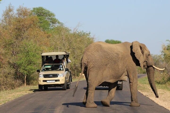 2-Day Kruger Safari & Panorama Route from Hazyview — Big Five and Blyde River Canyon