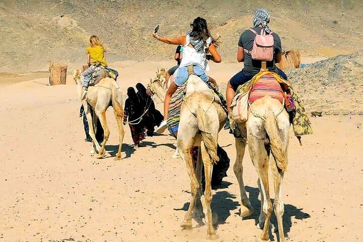 Hurghada Desert Safari — ATV Quad, Camel Ride & Bedouin Dinner at Sunset photo 2