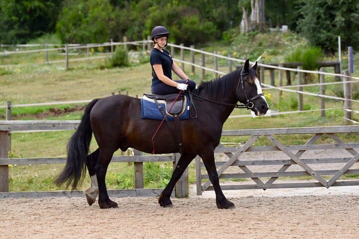 Horseback Riding in Side: Coastal Trails, Ancient Ruins & Sea Breeze
