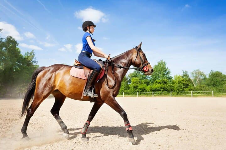 Horseback Riding in Side: Coastal Trails, Ancient Ruins & Sea Breeze photo 4