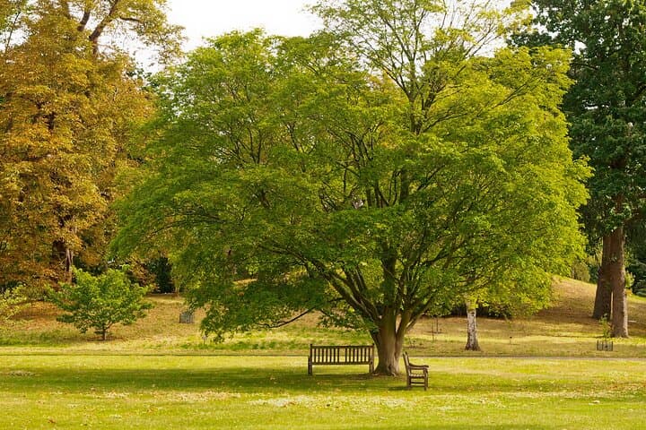 Romantic Walks in Roslin — Private Tour of Rosslyn Chapel, Glen & Castle photo 5