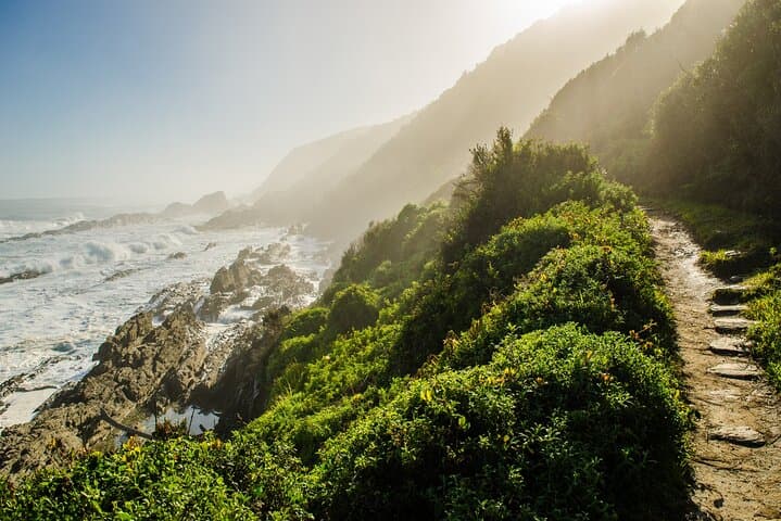 Tsitsikamma Zipline & Storms River Mouth Private Tour from Port Elizabeth photo 5