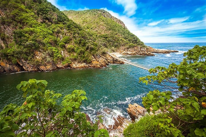 Tsitsikamma Zipline & Storms River Mouth Private Tour from Port Elizabeth