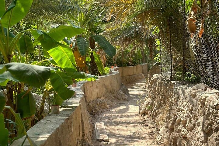 Two-Day Wadi Shab, Bimmah Sinkhole, Nizwa & Jebel Akhdar Private Tour photo 6
