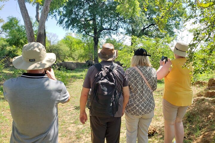 White Rhino Walking Safari in Livingstone: Up-Close Rhino Viewing & Guided Park Walk photo 2