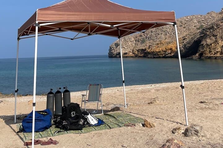 Muscat Shore Diving: Explore Oman's Reefs & Shipwrecks from the Beach photo 4