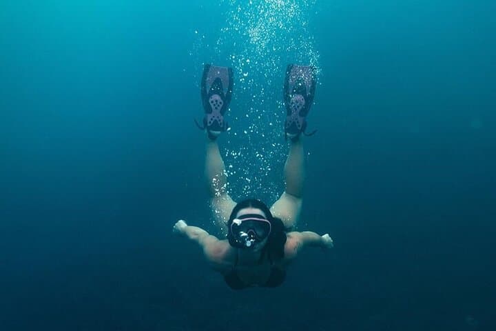 Nusa Penida West Full-Day Snorkel: Manta Bay, Crystal Bay & West Coast Viewpoints photo 5