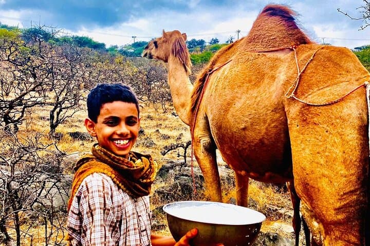 Eastern Salalah Half-Day Private Tour: Mirbat, Jabal Samhan & Tawi Atair photo 2