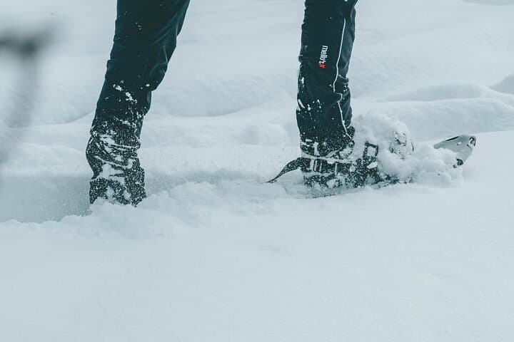 Rovaniemi Snowshoeing & Forest BBQ — Winter Photography Walk photo 2