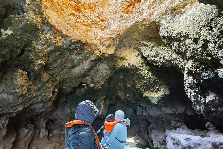 Ponta da Piedade Private Boat Tour: Grottos, Caves & Coastal Views from Lagos photo 4