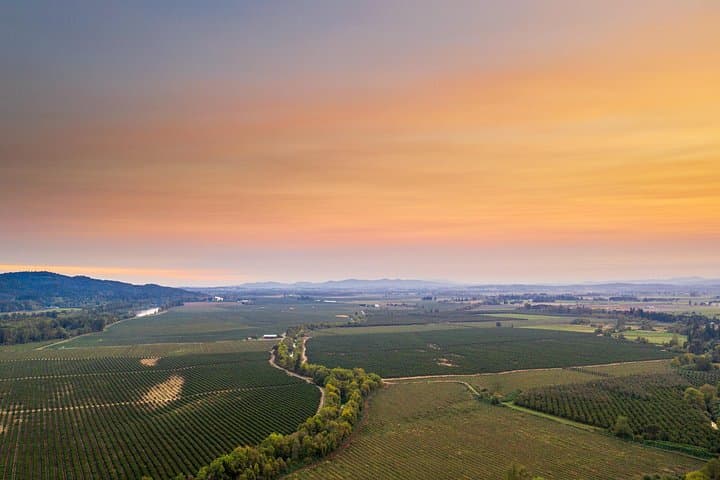 Willamette Valley Wine, Stables & Classic Cars Day Tour from Portland photo 2