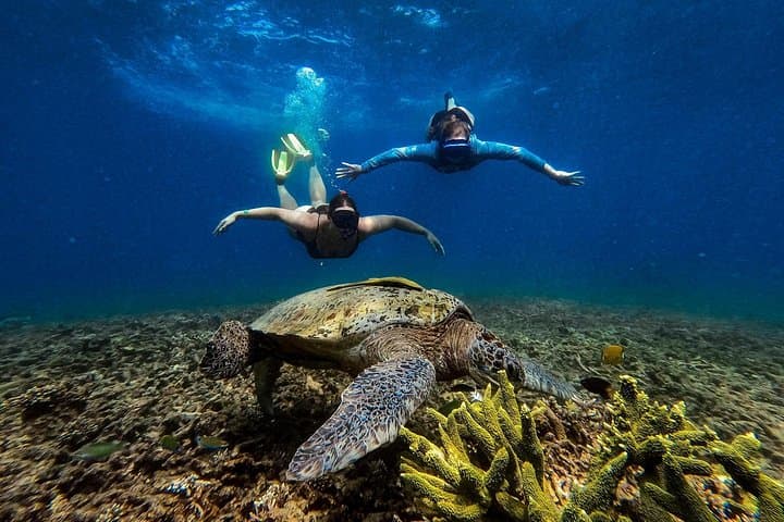Private Koh Tao Snorkeling & Island-Hopping: Best Spots, Tips & What to Expect photo 3