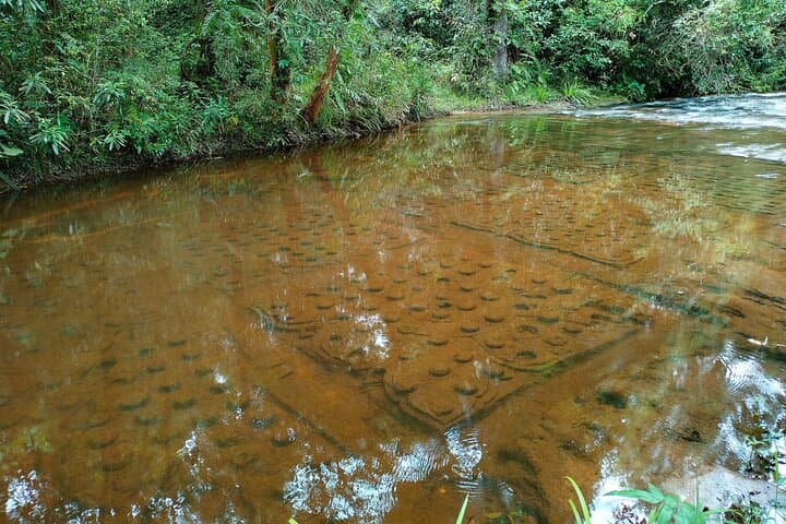 Angkor Day Tour — Phnom Kulen, Beng Mealea & Kampong Phluk Sunset photo 5