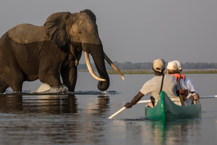 Lake Duluti Private Canoe, Cycle, Coffee & Hike — Day Tour from Arusha