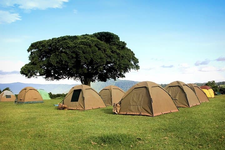 Budget Camping Safari: 6 Days Through Tarangire, Serengeti & Ngorongoro photo 1