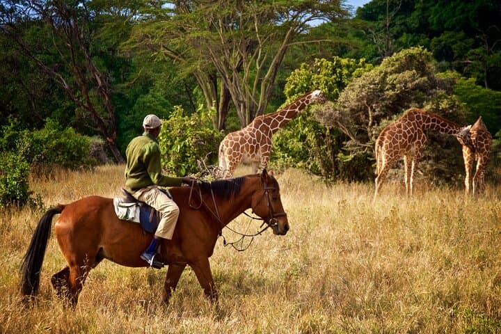 Lake Duluti Paddle and Horseback Day Trip from Arusha