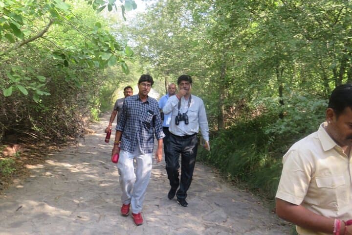 Blue City Walking Tour: 3-Hour Guided Heritage Walk in Jodhpur