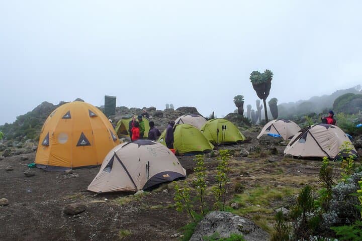 Marangu Day Tour: Hike to Mandara Hut & Marangu Falls on Kilimanjaro's Eastern Slopes photo 5